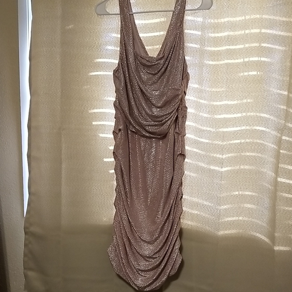 Express Shimmering Backless Dress